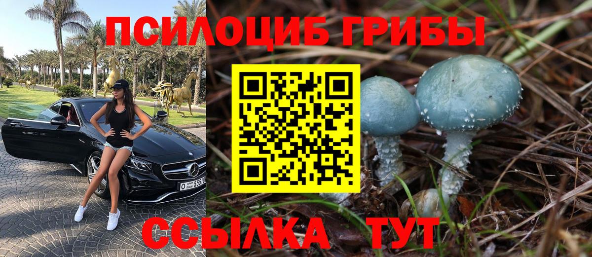 Псилоцибиновые грибы MAGIC MUSHROOMS Кандалакша